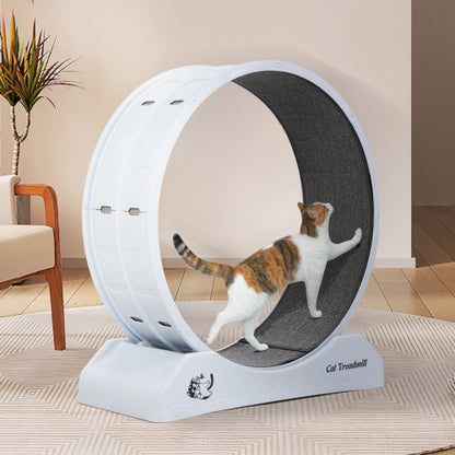 Cat Running Wheels, Small Animal Sports Treadmills With Locking Mechanisms, Carpet Tracks, Cat Teasing Toys